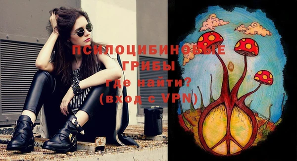 наркотики Каменногорск
