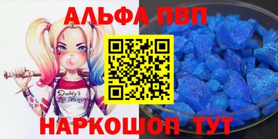 СК Гатчина