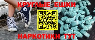 СК Гатчина