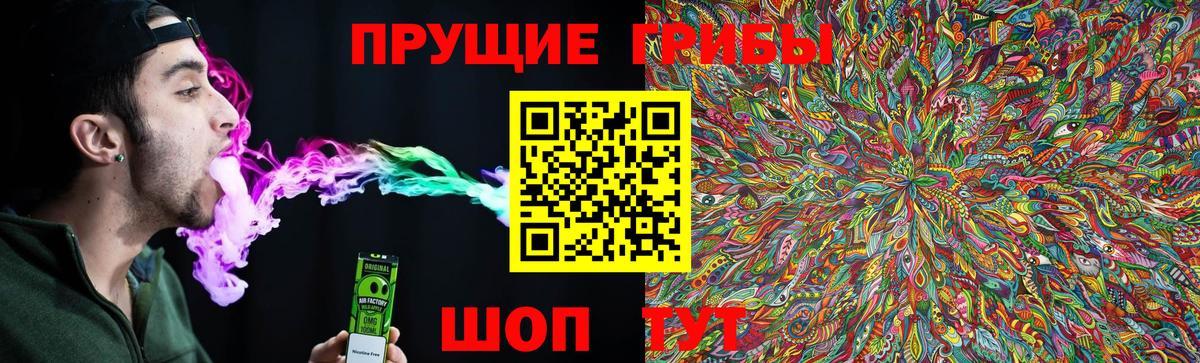 Галлюциногенные грибы Psilocybine cubensis Лыткарино
