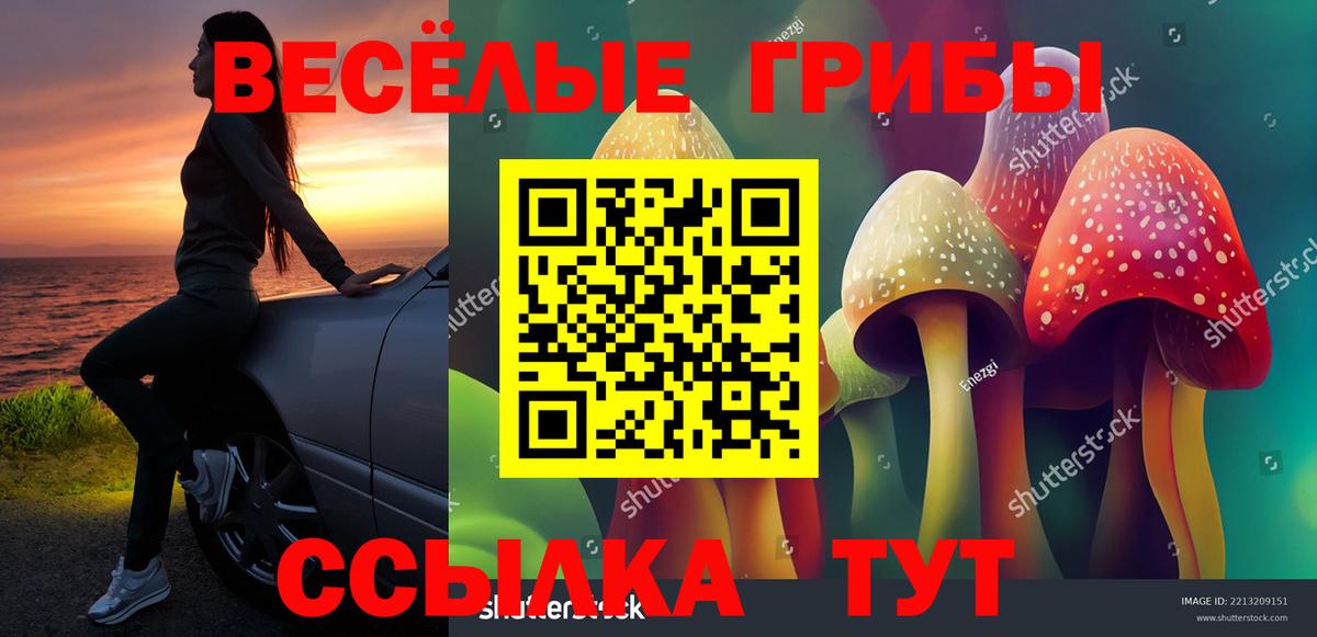 купить наркоту  Вход с VPN  Галлюциногенные грибы Cubensis  Лыткарино  Псилоцибиновые грибы MAGIC MUSHROOMS 